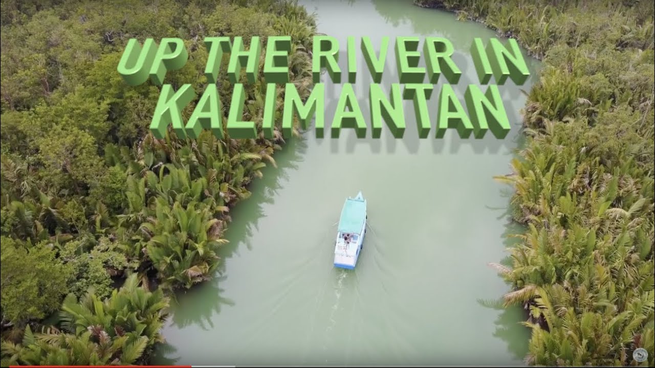 CRASH landing a DRONE in a jungle full of Orangutans: Borneo, Kalimantan / Sailing Aquarius #69