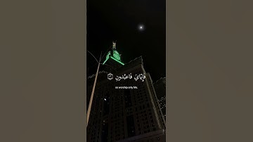 (يَا عبادِي الذِين آمنُوا إِن ارضِي وَاسِعة) سورة العنكبوت عبد الرحمن مسعد #قرآن #سورة_العنكبوت