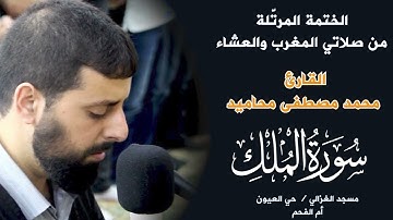 سورة الملك كما لم تسمعها من قبل! تلاوة مؤثرة للشيخ محمد مصطفى محاميد – إستمع الآن