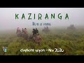 Kaziranga Elephant safari || Rhino's home town