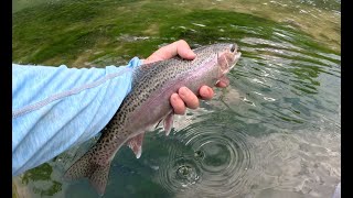 Fly Fishing Kentucky for Trout!! - Kayak and Wade Fishing The Legendary Cumberland River | Fishheads