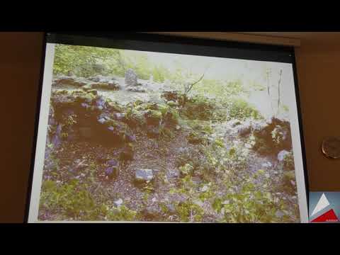 თ. მელივა - გოგიჩაანთ ღელეს ნამოსახლარისათვის - TAMAR MELIVA