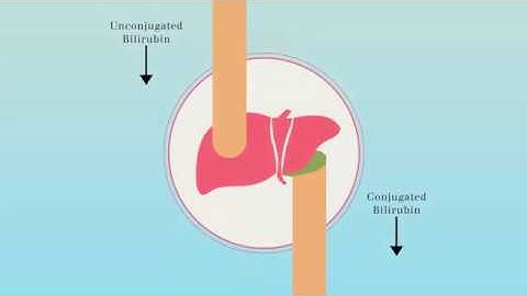 How to make phototherapy more effective?