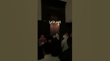 {خُذوهُ فَاعتِلُوهُ إِلَىٰ سَوَاءِ الجَحيمِ}تحبير عراقي رائع من اواخر سورة الدخان للشيخ خالد الجليل