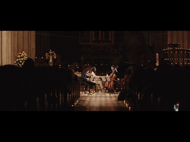 Beethoven - Trio avec piano n°1: Finale : N.Gouin / G.Chilemme / Y.Levionnois