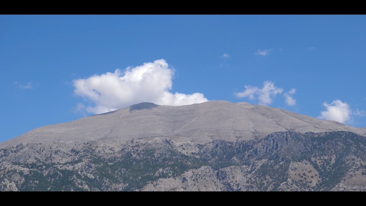 Discover Amari | 2 min trailer