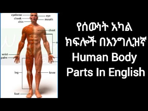 ቪዲዮ: በ Word ውስጥ ፈጣን ክፍሎች ምንድናቸው?