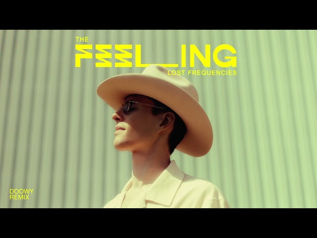Lost Frequencies - The Feeling (Doowy Remix) class=