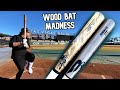 B45 birch b13c vs stinger birch p72jn11  wood bat madness 10 episode 6