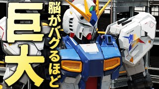 24.8M実物大νガンダムや最新RGガンプラを徹底レビュー【ガンダムパーク突撃取材】