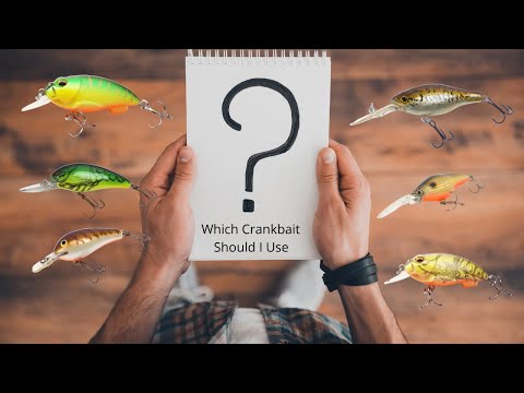 How to Pick the BEST Crankbait & Spring Fishing Tips – Smartbaits Inc.