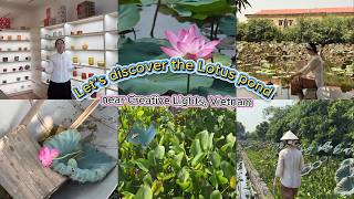 Mùa sen bên cạnh nhà máy | The Lotus Season Near Our Factory screenshot 5