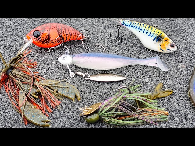 Best Bass Lures
