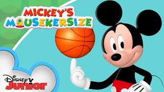 Mickey's Mousekersize! | 20 Minute Compilation | Mickey Mouse Clubhouse | @disneyjunior