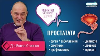 Минутки за: Простатата