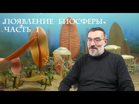 Video: Палеонтология деген эмне