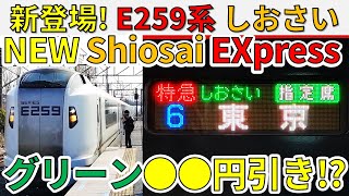 (64)【グリーン車が超お得】E259系の特急“しおさい”に乗ってみた！
