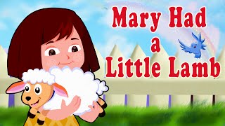 Mary Had a Little Lamb | Kids Songs Rhymes | Kids Song Channel