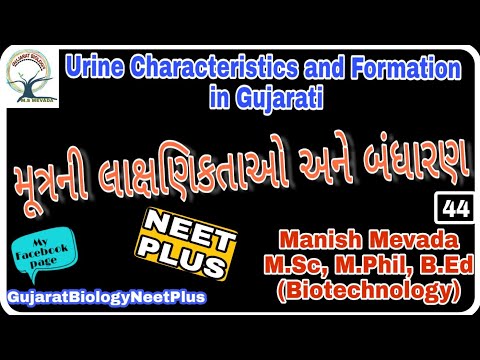 Urine Characteristics and Composition in Gujarati (મૂત્રની લાક્ષણિકતાઓ અને બંધારણ)