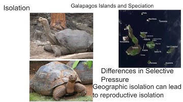 Speciation, Types of Natural Selection, and Types of Evolution