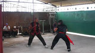 Choy Lee Fut sparring old times Cuba belt test