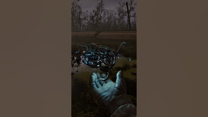 Rat King | S.T.A.L.K.E.R. 2: Heart of Chornobyl