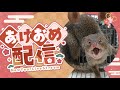 あけおめ!?