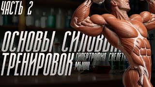 Основы силовых тренировок Часть 2.  Строение мышцы. Механизм мышечного сокращения. Крутящие моменты.