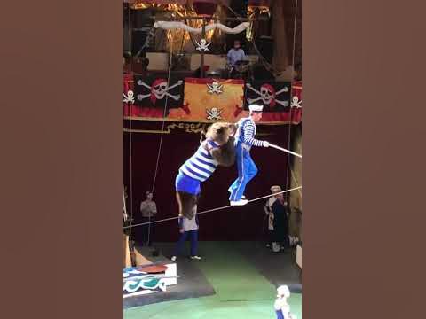 Василиса в цирке 🤡🎪🤹‍♀️медведь ходит по канату 👍 - YouTube