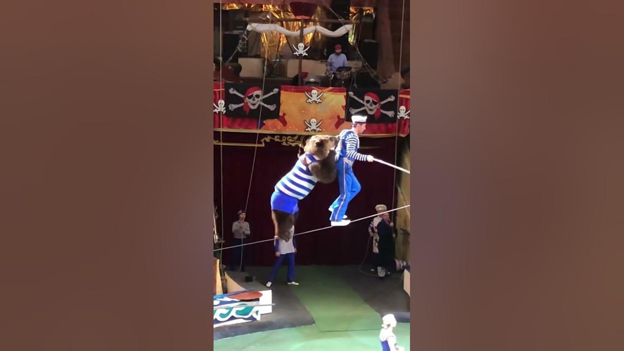 Василиса в цирке 🤡🎪🤹‍♀️медведь ходит по канату 👍 - YouTube