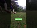 Ball practice #football #soccer #training