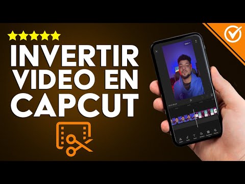 ¿Cómo Invertir Correctamente un Vídeo en CapCut con el Efecto Espejo?