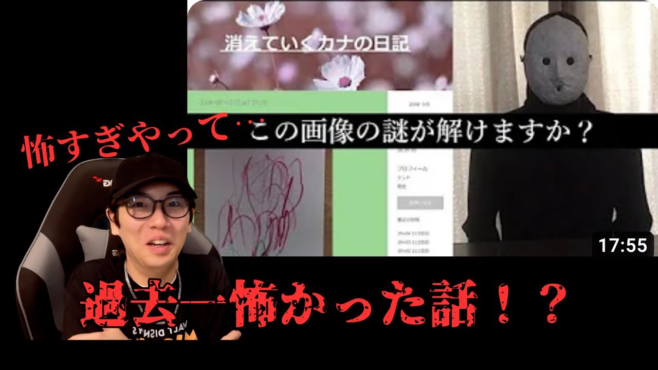 『消えていくカナの日記』これ過去一怖かったかも。【雨穴】