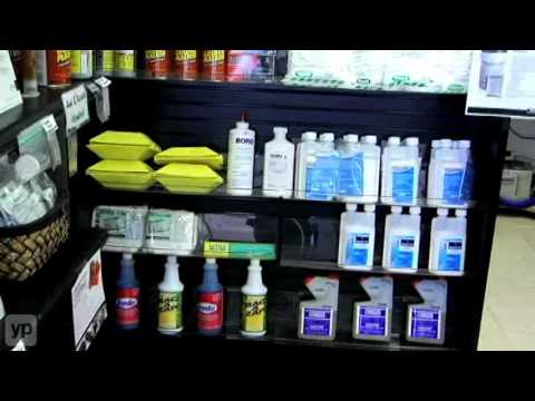 Do It Yourself Pest Control - YouTube