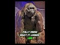 The biggest Ape in the world