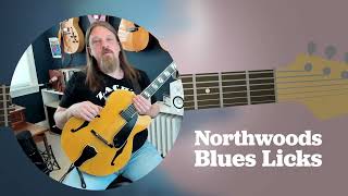 Northwoods Blues Licks: Mark Anderson