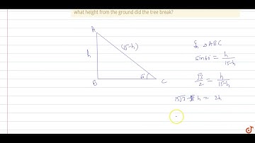 A vertically straight tree, 15 m high, is broken by the wind in such a way that its top just to...