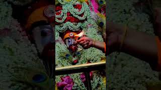 #tarapith #MaTara#joymaakali 🙏🏻🌺🌺🌺🌹🌾🌷🌺❤️🙏🏻#joytaramaa #joy tara#joy hoy tara#shorts #shortvideo