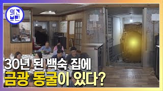 시골 백숙집 의문의 동굴. 금(金)나오는 30m동굴 미스터리.