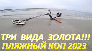 Нашел ЗОЛОТО трех видов! Желтое ЗОЛОТО! Белое ЗОЛОТО! Красное ЗОЛОТО!