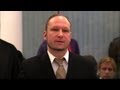 Breivik: "Ja, ich würde es wieder tun"