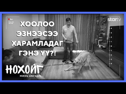 Видео: Сарны нохой гэж юу вэ?