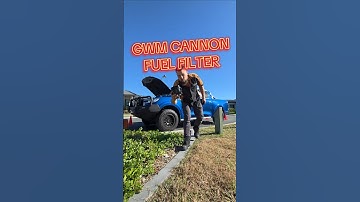 How to replace the fuel filter on a GWM Cannon #gwm #gwmcannon #mechanic #pseries #cannon #tune