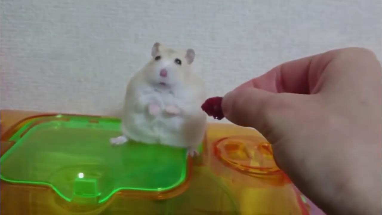 [問卦] 為何我們要經歷生老病死