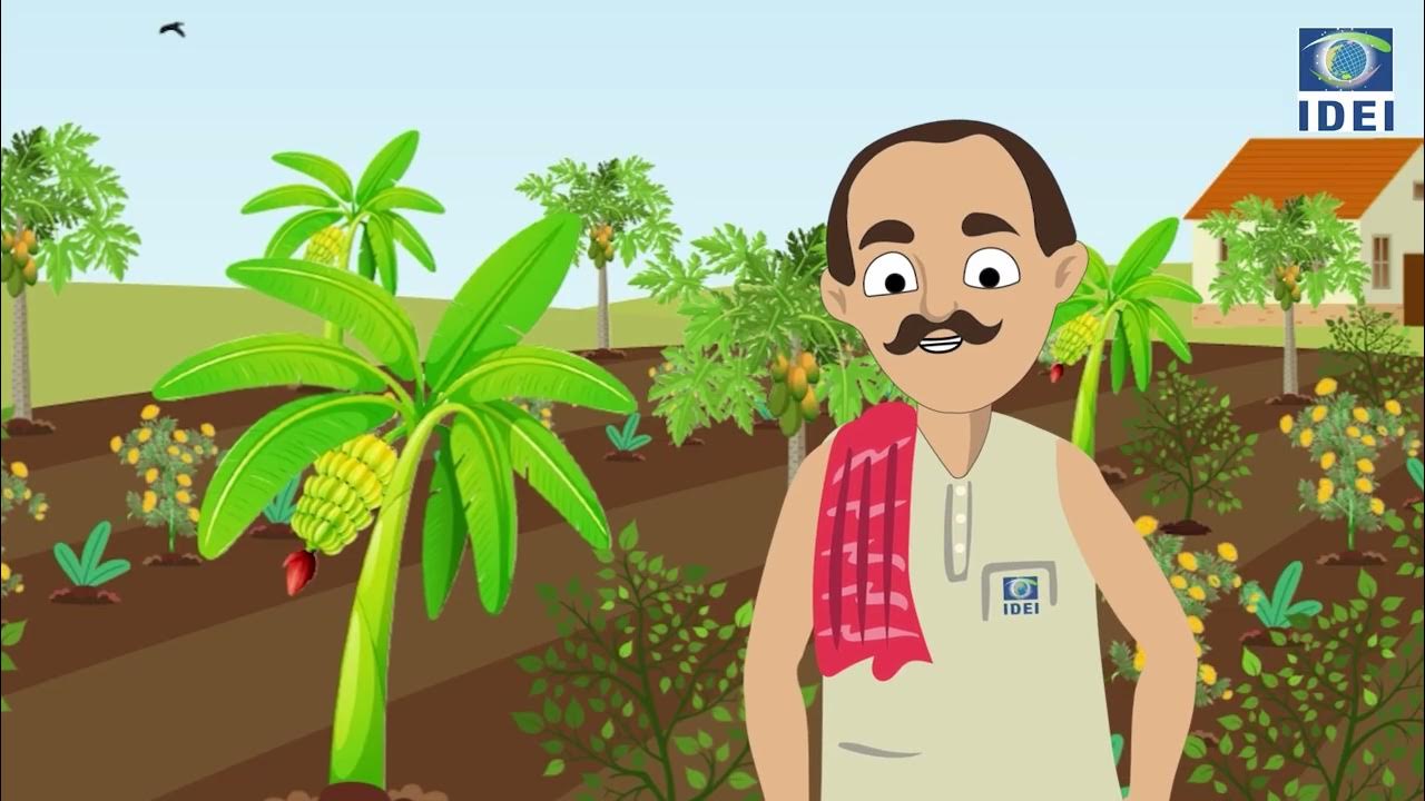 POP NITROGEN FIXING PLANTS HINDI YouTube