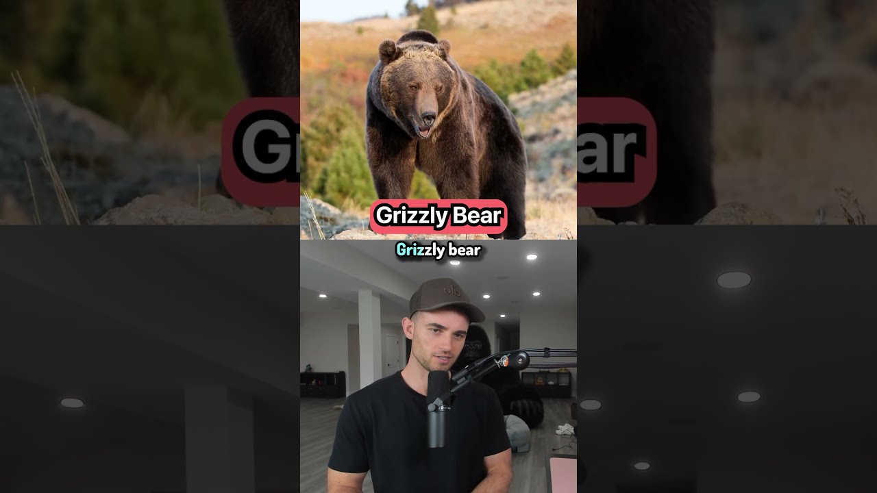 How Many People Does It Take To Defeat These Animals 
