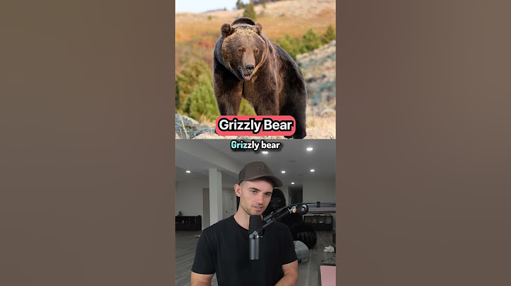 How Many People Does It Take To Defeat These Animals?