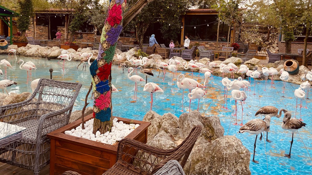 Flamingo Köyü’nde kahvaltı