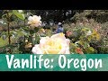 Vanlife: Oregon
