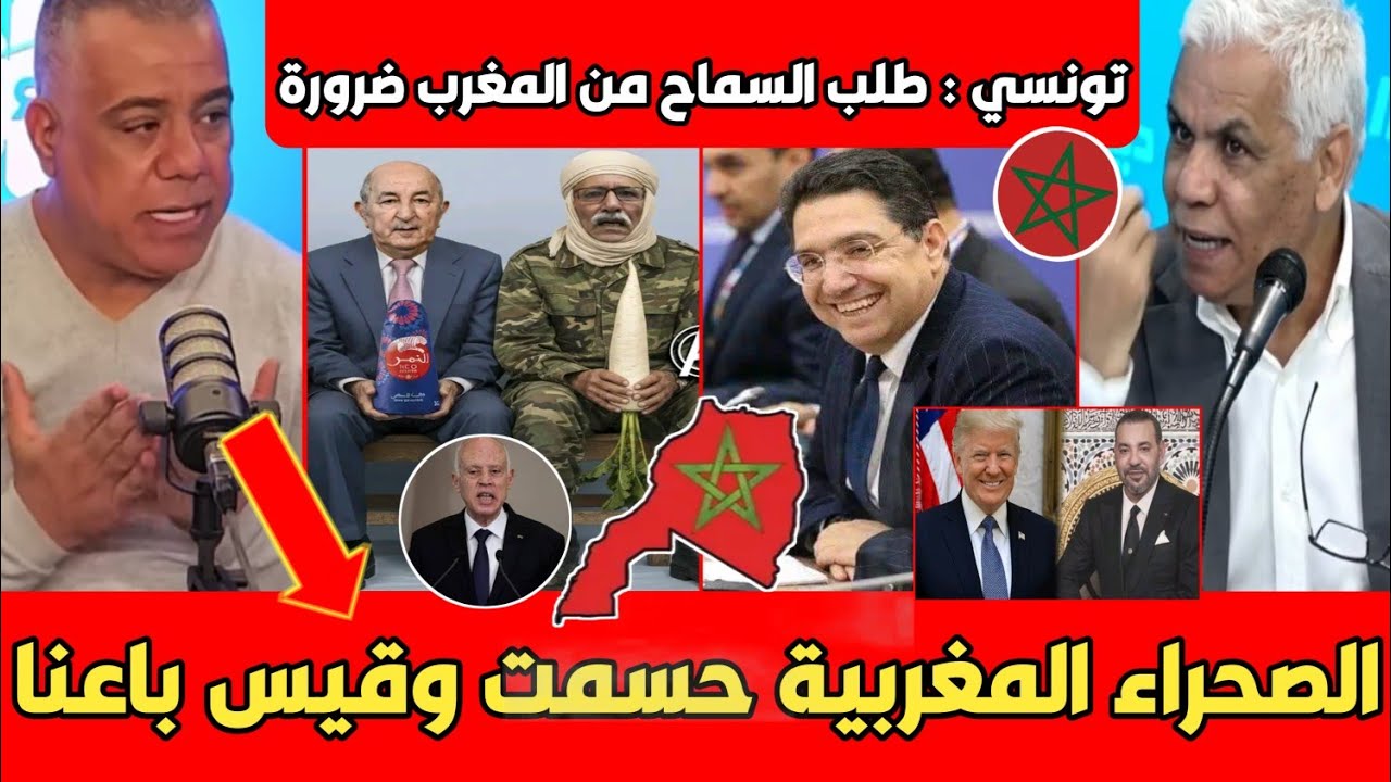 محلل تونسي يزلـ ـزل الجزائر بالمباشر المغرب حسم ملف الصحراء ونطلب اعتذار للمغاربة قيس سعيد باع تونس